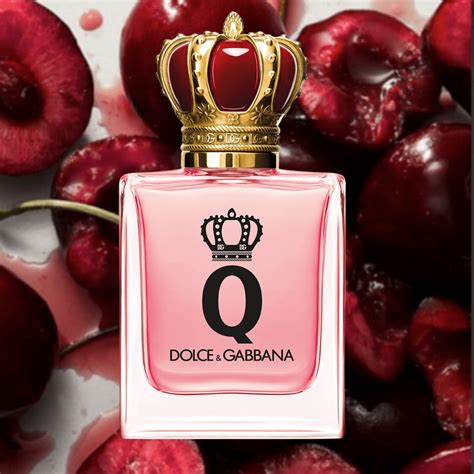 q dolce e gabbana recensioni